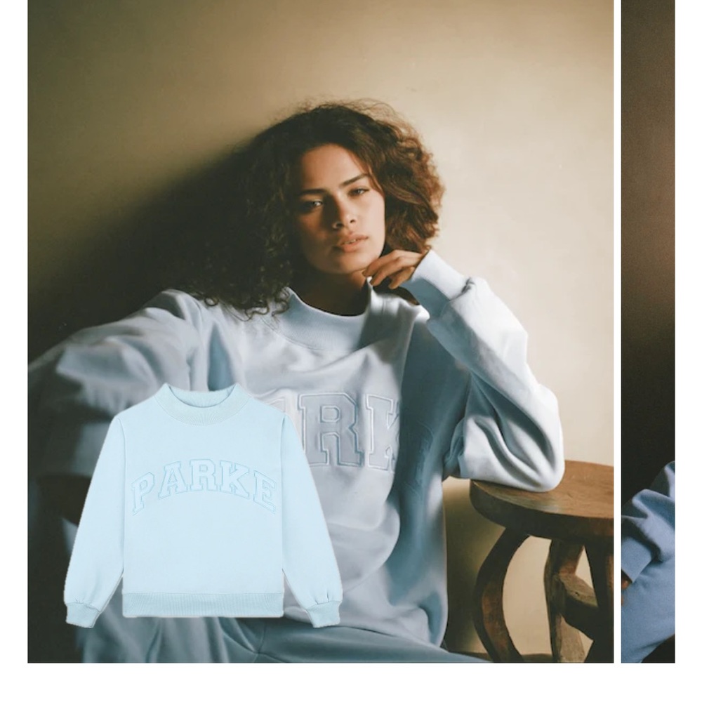 PARKE ICE MOCKNECK